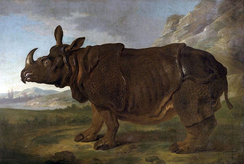 Clara the Rhino, by Jean-Baptiste Oudry, oil on canvas, 1749, Staatliches Museum Schwerin, Germany (Wikimedia commons)