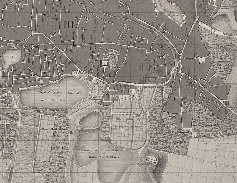 The house and gardens of Hâsan Kâchef in Cairo, home to the Institute of Egypt, founded by Napoleon on Aug. 22, 1798, detail of a map of Cairo, compiled by four savants, including Edme Jomard, Description de l’Égypte, État moderne, vol. 1, 1809 (Linda Hall Library)