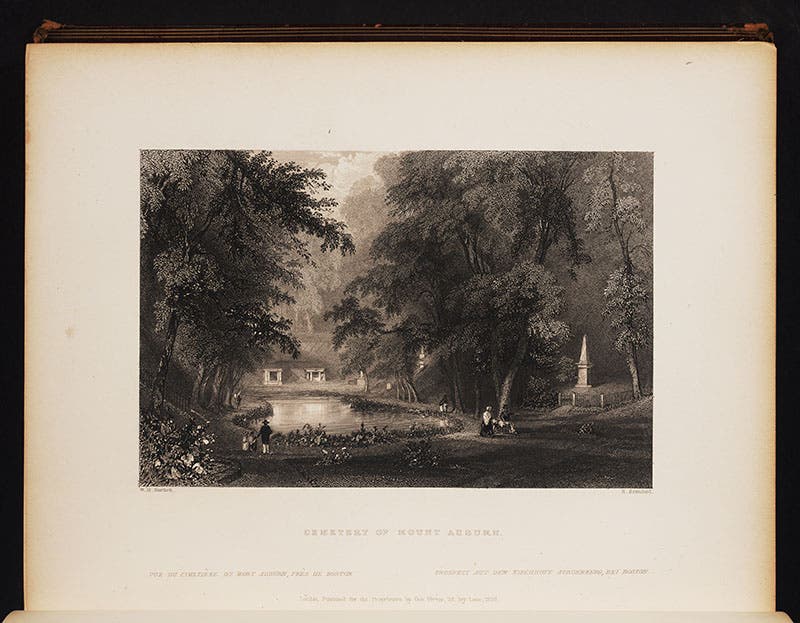 Mount Auburn Cemetery, in William H. Bartlett, American Scenery, 1840.