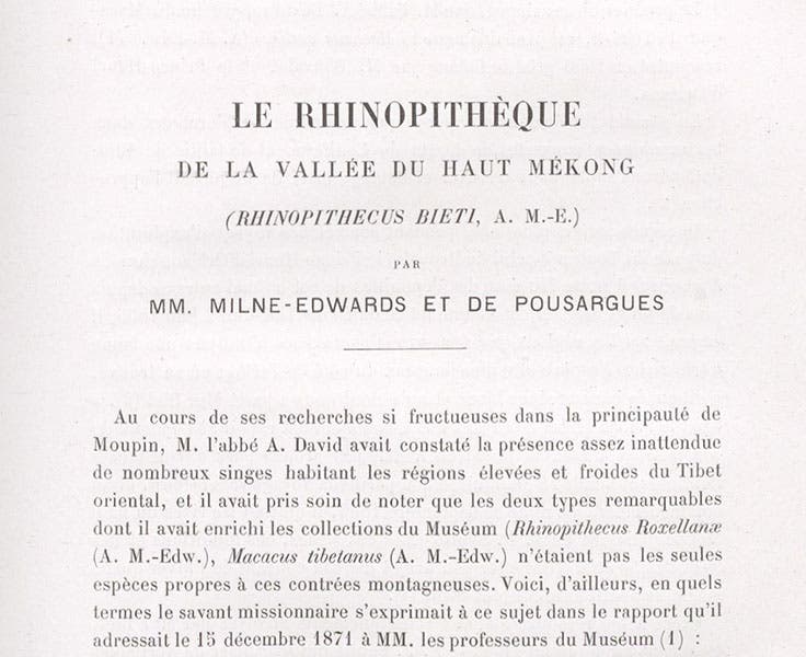 Detail of first page of article on a new kind of snub-nosed monkey, by Alphonse Milne-Edwards, in Nouvelles Archives du Muséum d’Histoire Naturelle, ser. 3, vol. 10, 1898 (Linda Hall Library)