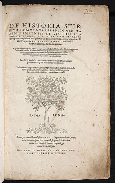 Title page of Leonhart Fuchs, De historia stirpium, 1542 (Linda Hall Library)