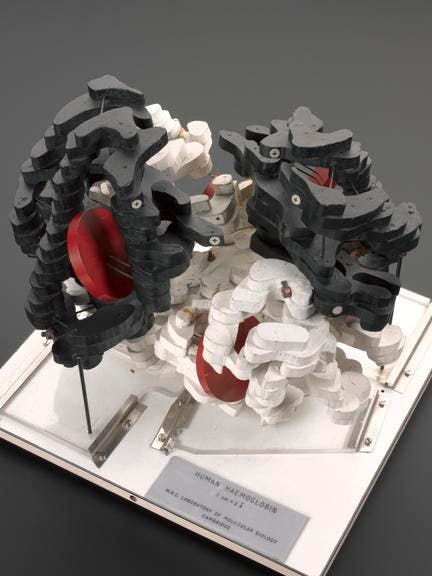 Low-resolution hemoglobin model of 1967, built by Max Perutz, Science Museum, London (sciencemuseumgroup.org.uk)