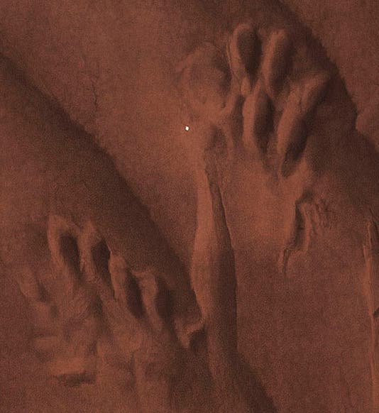 Two fossil footprints in sandstone, detail of our fifth image, in Isaac Lea, <i>Fossil Foot-marks in the Red Sandstone of Pottsville, Pa.</i>, 1855 (Linda Hall Library)

