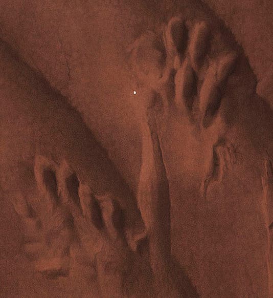 Two fossil footprints in sandstone, detail of our fifth image, in Isaac Lea, <i>Fossil Foot-marks in the Red Sandstone of Pottsville, Pa.</i>, 1855 (Linda Hall Library)