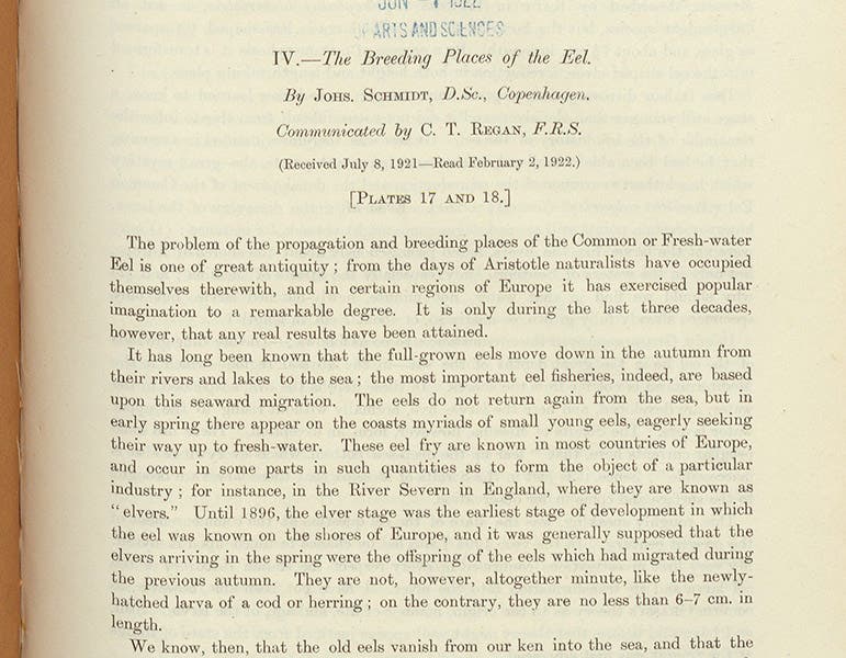 First paragraph, “The breeding places of the eel,” by Johannes Schmidt, Philosophical Transactions of the Royal Society of London, ser. B, vol. 211, 1922 (Linda Hall Library)