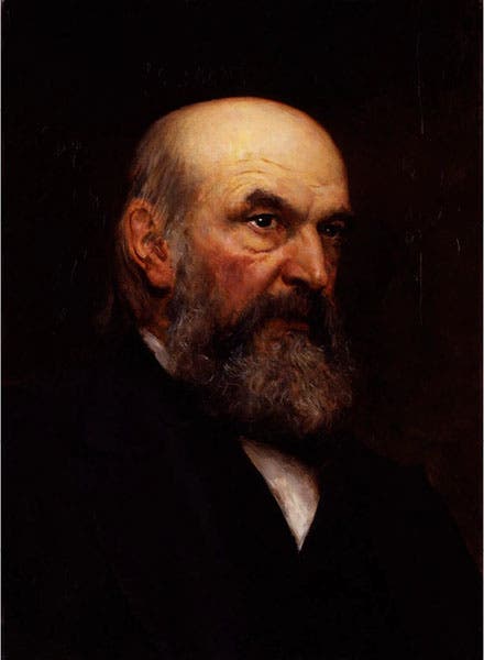 Portrait of John Couch Adams, oil on canvas, by Hubert von Herkomer, 1888, National Portrait Gallery, London (npg.org.uk)
