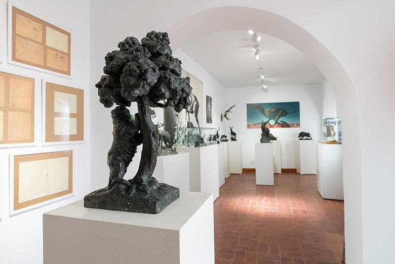 Interior of Museo Antonio Navarro Santafé, Villena, Valenciana, Spain (multimedia.comunitatvalenciana.com)