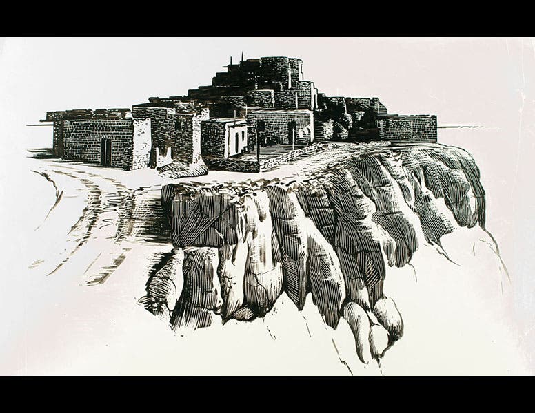 Roger Tory Peterson Institute of Natural History