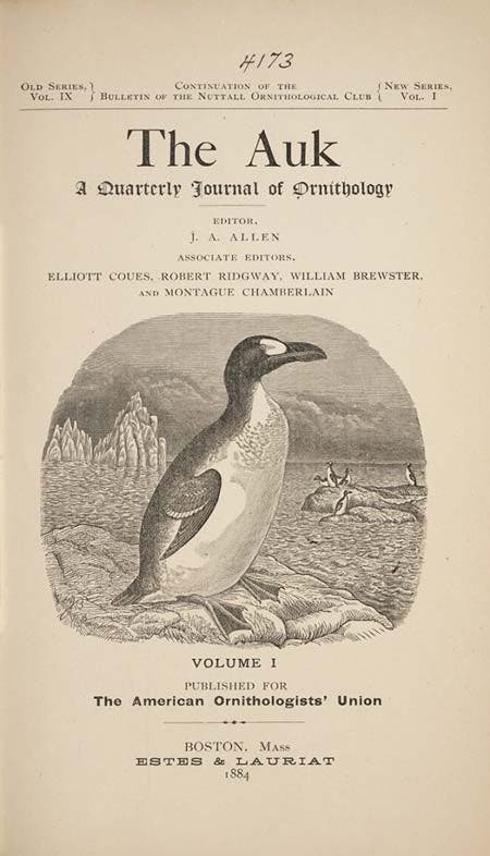 In January 1884, the AOU published the first issue of The Auk, their official journal of scientific ornithology. The Auk, vol 1, no. 1, 1884. View Source.