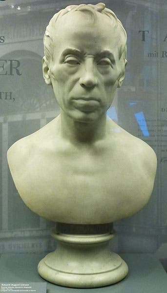 Bust of Martin Klaproth, by Eduard August Lürsen, 1882, Natural History Museum, Humboldt University, Berlin (Wikimedia commons)