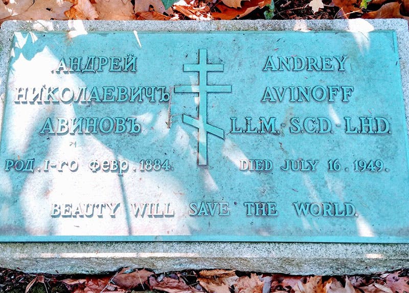Tombstone of Andrey Avinoff, Locust Valley Cemetery, Nassau County, New York; his epitaph reads: “Beauty will save the world” (findagrave.com)