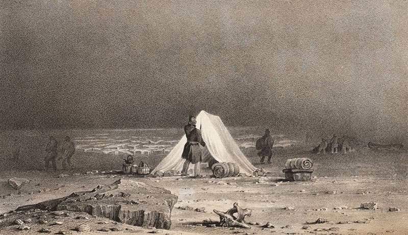 Tent-site on the shore during winter darkness, engraving by George Back in his Narrative of the Arctic Land Expedition to the Mouth of the Great Fish River, 1836 (Linda Hall Library)