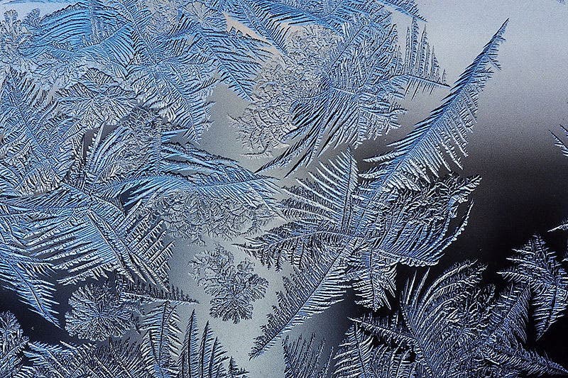 Frost patterns with fractal properties (Wikimedia Commons)