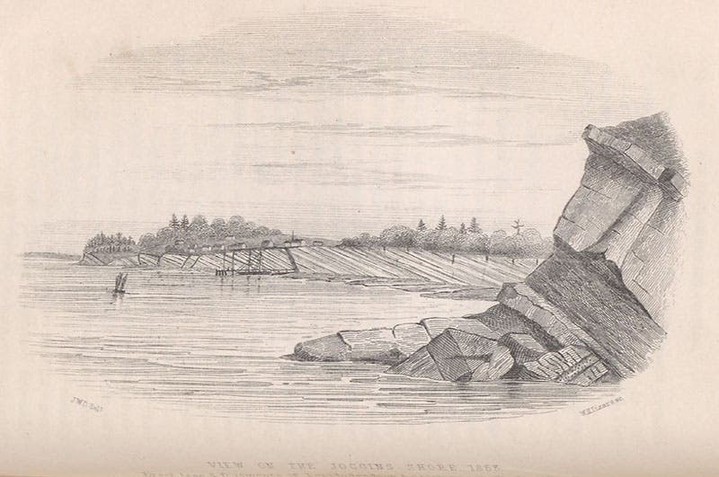 A view of the Joggins Fossil Cliffs, Joggins, Nova Scotia, lithograph in Acadian Geology, by John William Dawson, 1855.