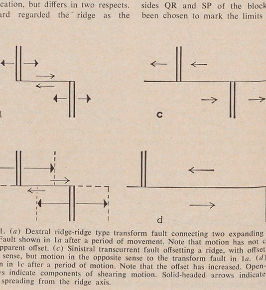 Diagram of transform faults (single horizontal lines) connecting oceanic ridges (vertical double lines), from Tuzo Wilson’s paper in <i>Science</i>, 1965 (Linda Hall Library)