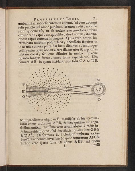 The Sun and a comet, woodcut diagram, in Isaac Vossius, De lucis natura, 1662 (Linda Hall Library)
