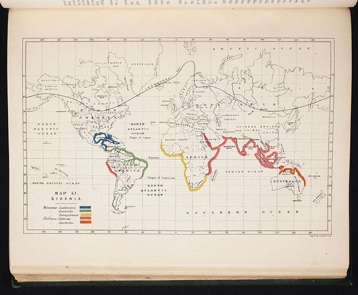 Distribution map of sirenians (dugongs and manatees), Murray, Geographical Distribution of Mammals, 1866 (Linda Hall Library)
