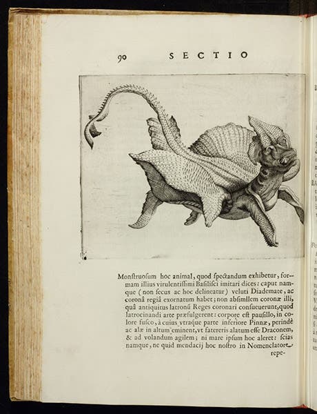 “Jenny Haniver,” a ray modified to look like a dragon, text engraving, in Musaeum Franc. Calceolarii, by Benedicto Ceruto and Andrea Chiocco, 1622 (Linda Hall Library)