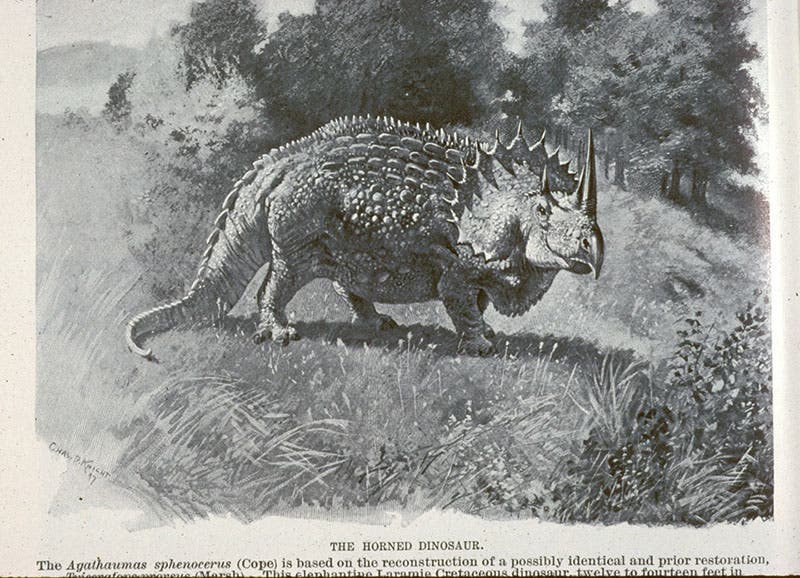 Agathaumas (Triceratops), photo-reproduction of a watercolor by Charles R. Knight, Century Magazine, p. 18, Nov. 1897 (Linda Hall Library)