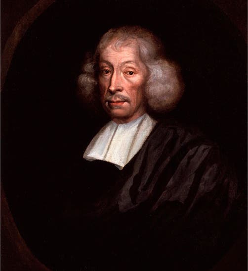 Portrait of John Ray, artist unknown, National Portrait Gllry. London (npg.org.uk)