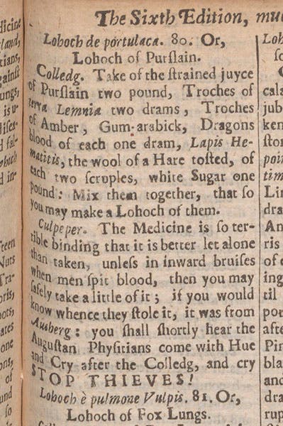 Entry on Lohoch of Purslain, a detail, from Nicholas Culpeper, The London Dispensatory, 1659 (Linda Hall Library)
