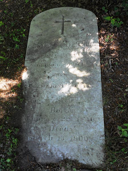 Gravestone of Catherine Wolfe Bruce, Green-Wood Cemetery, Brooklyn (findagrave.com)