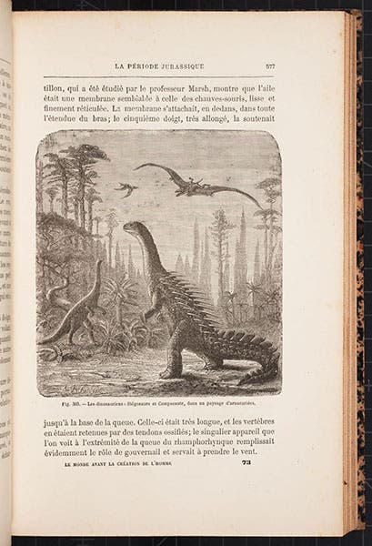 Habitat restoration of a Stegosaurus and a Compsognathus, with a pterosaur flying overhead, wood engraving, in Le monde avant la création de l'homme, by Camille Flammarion, 1886 (Linda Hall Library)