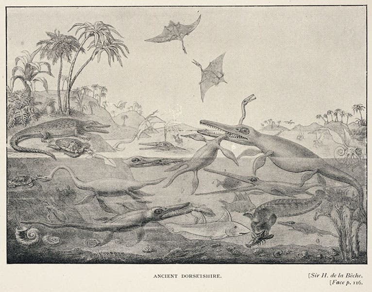 “Ancient Dorsetshire,” half-tone copy of “Duria antiquior,” by Henry De la Beche, in The Life and Correspondence of William Buckland, by Elizabeth Gordon, 1894 (Linda Hall Library)