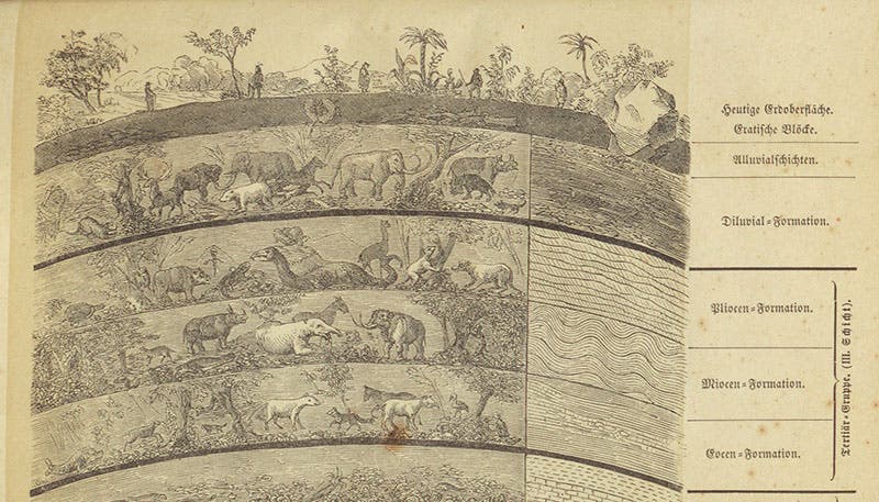 Detail of seventh image, 5 scenes of prehistoric life, from present-day at top down to the Eocene, Karl Cäsar von Leonhard, Das Buch der Geologie, vol. 1, 1855 (Linda Hall Library)
