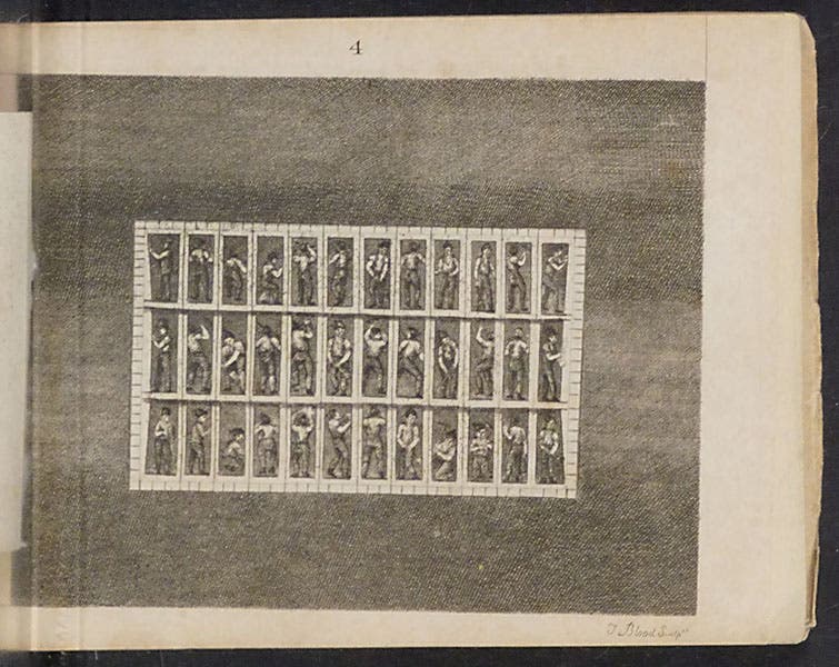 The same section as in the image above, with the masonry template folded back to reveal the 36 miners working in the shield, Sketches of the Works for the Tunnel under the Thames, from Rotherhithe to Wapping, 1828 (Linda Hall Library)