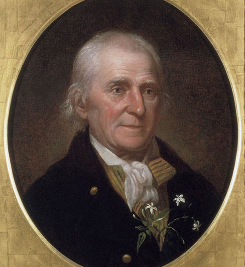 Portrait of William Bartram, oil on canvas, by Charles Willson Peale, 1808, Independence National Historical Park, Second Bank, Philadelphia (https://www.nps.gov/inde/)