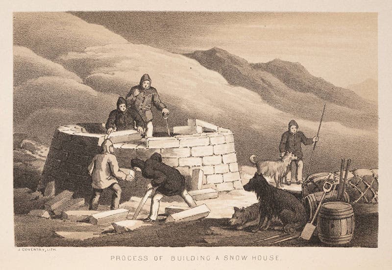 Building a snow house on the Kennedy-Bellot expedition; presumably Bellot is one of those pictured, but we don’t know which one; from William Kennedy, A Short Narrative of the Second Voyage of the Prince Albert, 1853 (Linda Hall Library)