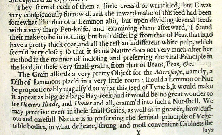 Text describing thyme seeds as a tiny bowl of lemons, Robert Hooke, Micrographia, 1665 (Linda Hall Library)