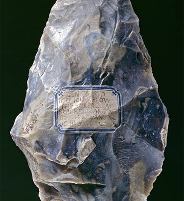 Flint hand-axe found by John Evans at St. Acheul, Amiens, France, 1859, now in the Ashmolean Museum, Oxford (britisharchaeology.ashmus.ox.ac.uk)