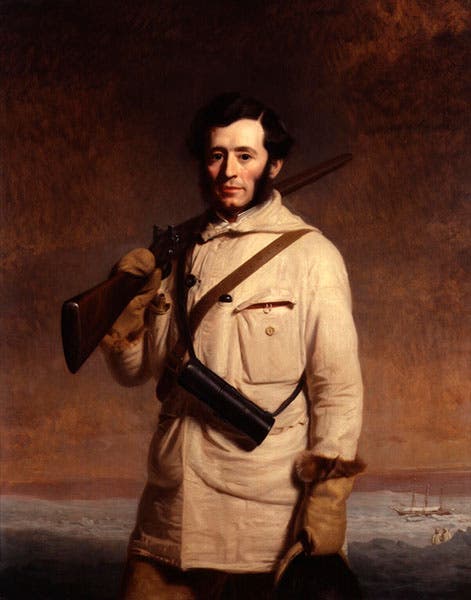 Portrait of Francis Leopold McClintock, oil on canvas, by Stephen Pearce, 1859, National Portrait Gallery, London (npg.org.uk)
