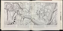 Two troops of ring-tail lemurs interacting in Madagascar, pen or pencil drawing by Sarah Landry, in Sociobiology: A New Synthesis, by E. O. Wilson, pp. 532-33, Harvard University Press, 1975 (author’s copy)