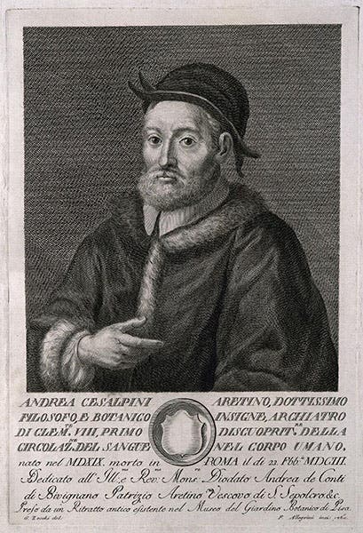 Portrait of Andrea Cesalpino, engraving, 1765, Wellcome Collection, London (wellcomecollection.org)