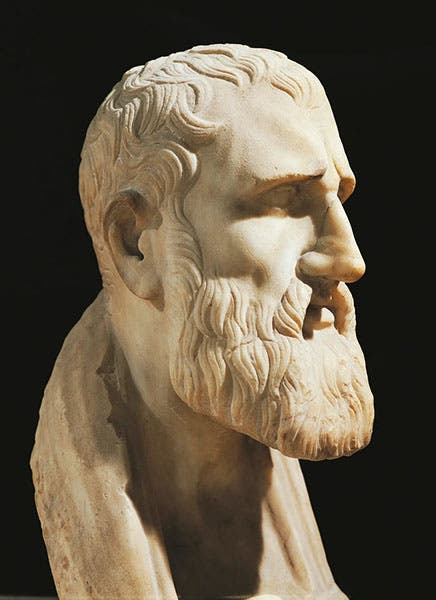 Bust of Zeno of Citium, Farnese Collection, National Archaeological Museum of Naples (thetimes.com)
