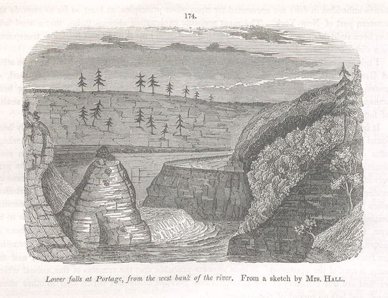 View of the lower falls at Portage, wood engraving after a sketch by Mrs Hall, in The Geology of New York, Pt. IV: Survey of the Fourth Geological District, by James Hall, 1843 (Linda Hall Library)