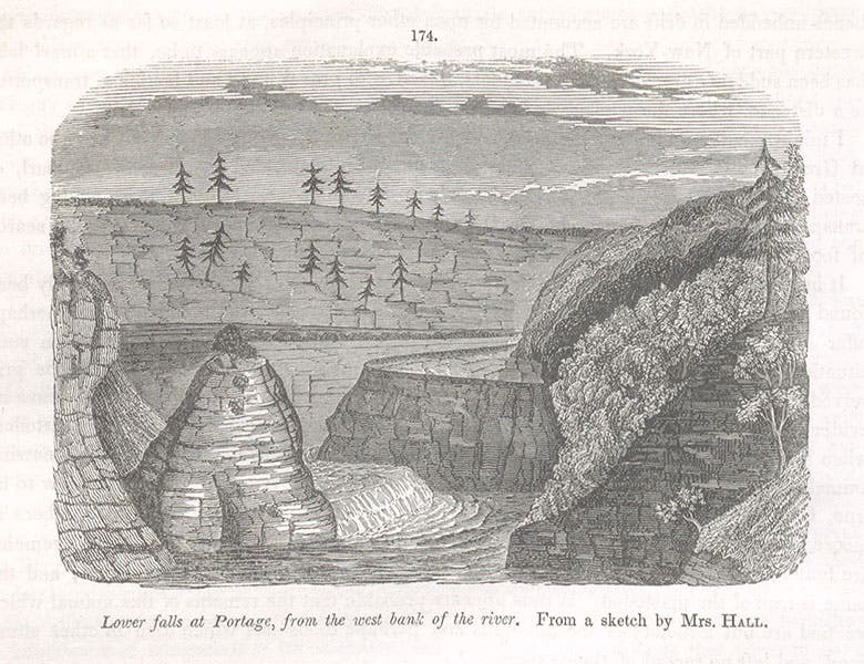 View of the lower falls at Portage, wood engraving after a sketch by Mrs Hall, in The Geology of New York, Pt. IV:  Survey of the Fourth Geological District, by James Hall, 1843 (Linda Hall Library)