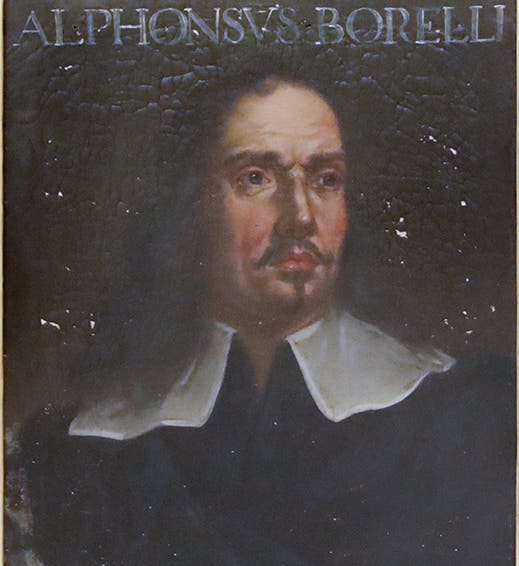 Portrait of Giovanni Alfonso Borelli, oil on canvas, before 1679, Galleria degli Uffizi, Florence (Wikimedia commons)