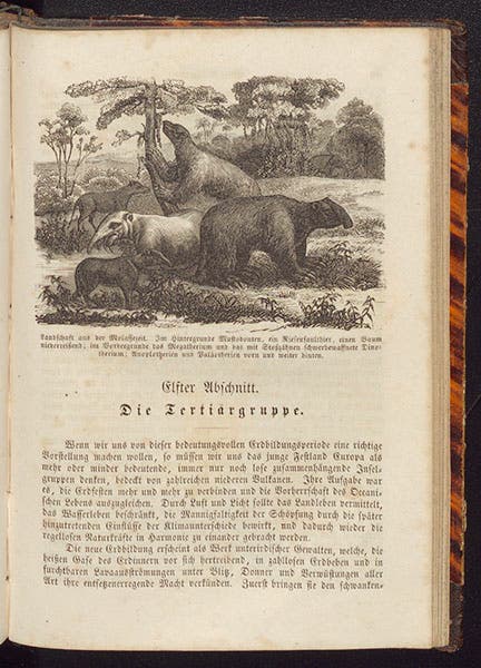 Megatherium, Deinotherium, and other Tertiary mammals, wood-engraved headpiece, Karl Cäsar von Leonhard, Das Buch der Geologie, vol. 2, 1855 (Linda Hall Library)