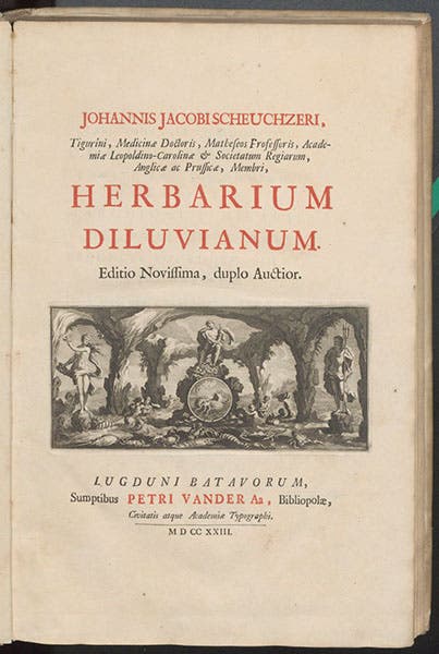 Typeset title page of second edition, Herbarium diluvianum, by Johann Jakob Scheuchzer, 1723 (Linda Hall Library)