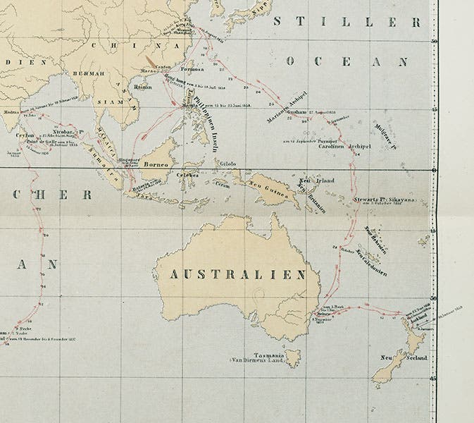 Detail of world map, showing track of the Novara through the western Pacific, from Reise der Novara, 1861 (Linda Hall Library)