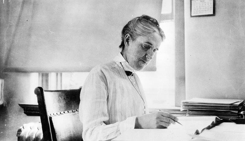 Henrietta Swan Leavitt at work at Harvard College Observatory, undated photograph by Margaret Harwood, 1910s, Emilio Segrè Visual Archives, AIP (repository.aip.org)
