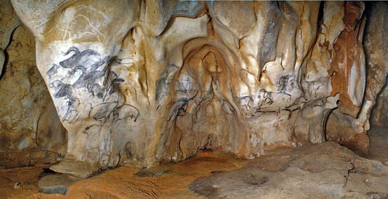 Sector of Horses, entire wall, Chauvet Cave, Ardeche, France (donsmaps.com)