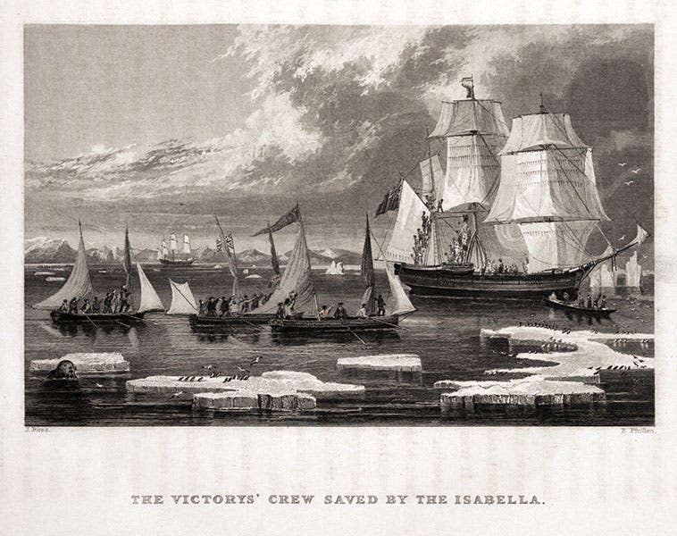 John Ross and his crew being rescued by HMS Isabella in Lancaster Sound, Aug. 25, 1833; the three smaller boats are the launch boats from HMS Fury, which were left on Fury Beach; engraving in Narrative of a Second Voyage in Search of a North-west Passage, by John Ross, 1835 (Linda Hall Library)