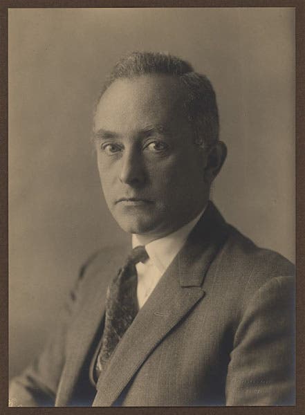 Portrait of a younger Max Born, photograph, unknown date, Smithsonian Libraries (library.si.edu)