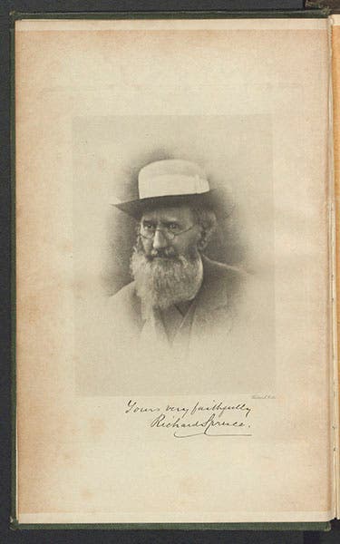 Portrait of Richard Spruce, photograph taken in 1889, frontispiece to Notes of a Botanist, 1908 (Linda Hall Library)
