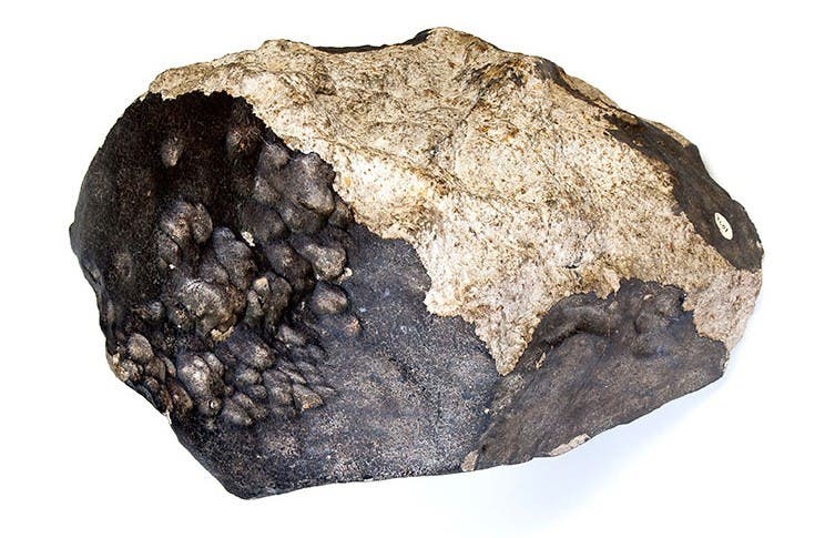 Wold Cottage meteorite in the Natural History Museum, London, museum photo (nhm.ac.uk)